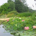 les jardins d'eau 030